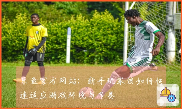 乐鱼官方网站:新手玩家该如何快速适应游戏环境与节奏