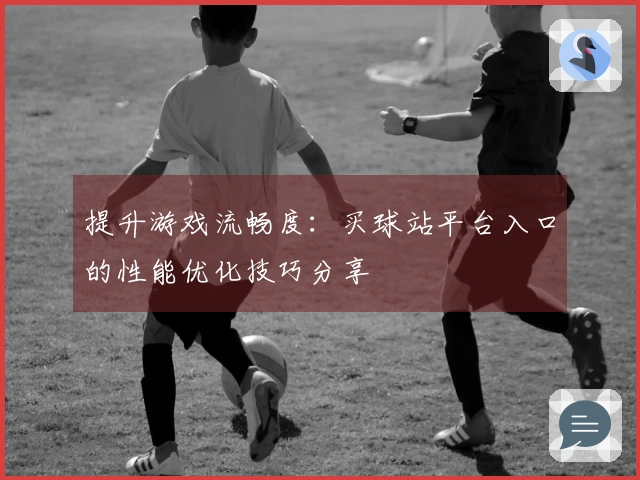 提升游戏流畅度：买球站平台入口的性能优化技巧分享